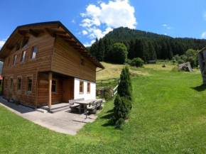 Authentic Apartment in St Gallenkirch with Sauna